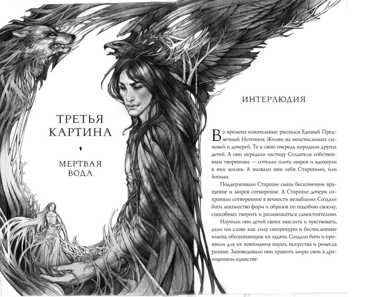 Тайна чёрного волка (#2)