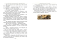 003.webp