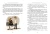 004.webp