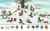 003.webp