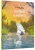 001.webp