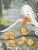 004.webp