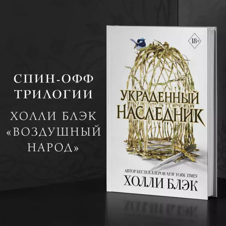 004.webp