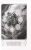 7.webp