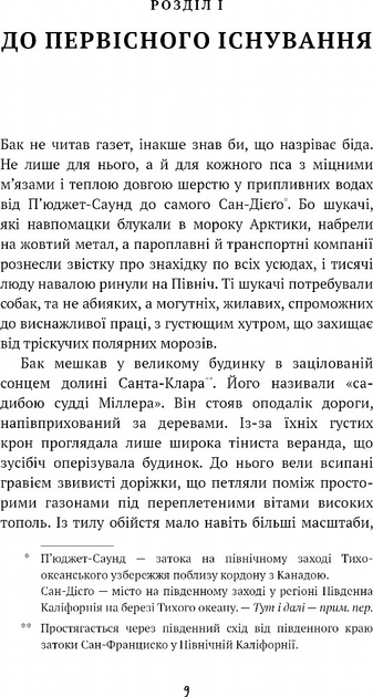 6.webp