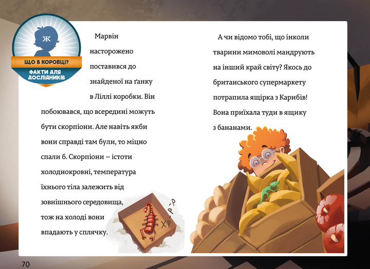 005.webp