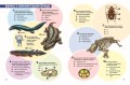 Доисторические первопроходцы. Выпуск 3. Гиганты карбона и перми