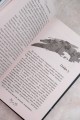 Осинка. Чужая сила