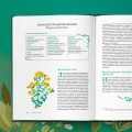 Гримуар травницы. Иллюстрированный справочник по сбору, заготовкам и полезным свойствам дикорастущих растений