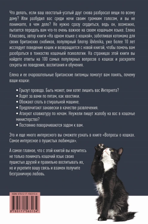 Вопросы о кошках. Самое интересное о пушистых любимцах