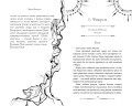 Игра Бессмертных (#1)