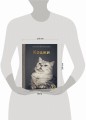 Кошки