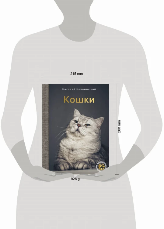 Кошки