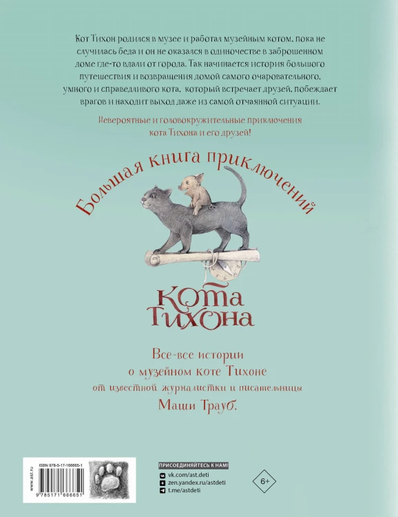 Большая книга приключений кота Тихона