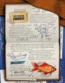 005.webp