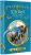 001.webp