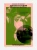 001.webp