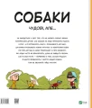 002.webp