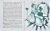 005.webp