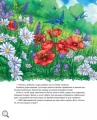 002.webp