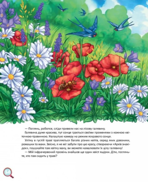 002.webp