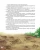 004.webp