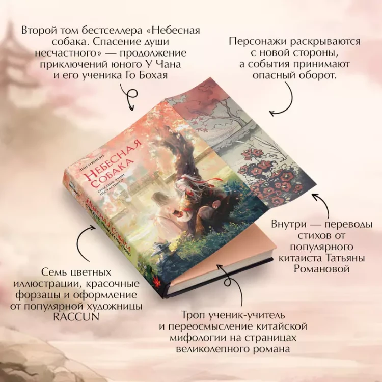 6.webp
