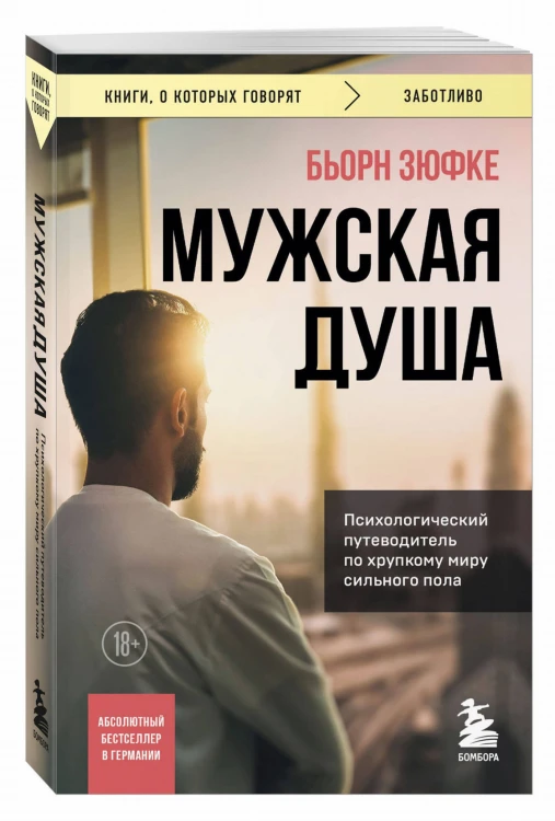Мужская душа. Психологический путеводитель по хрупкому миру сильного пола