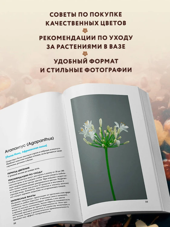 Цветы для букета. Справочник срезанных цветов для начинающего флориста. Что и когда покупать и как продлить цветам жизнь