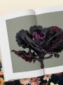 Цветы для букета. Справочник срезанных цветов для начинающего флориста. Что и когда покупать и как продлить цветам жизнь