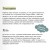 Мертвые души. Вечные истории. Young Adult