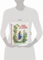 Стихи и песенки для малышей