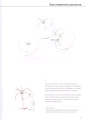 6.webp