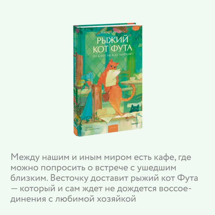 Рыжий кот Фута из кафе между мирами