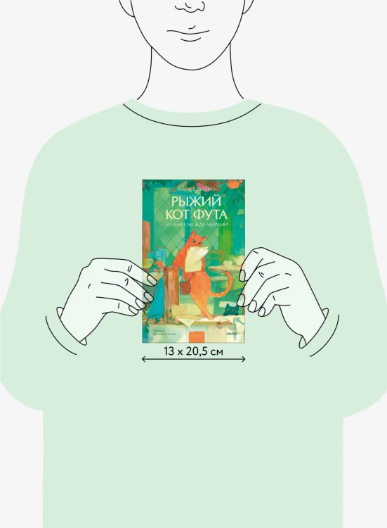 Рыжий кот Фута из кафе между мирами