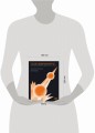 Сто лет недосказанности: Квантовая механика для всех в 25 эссе
