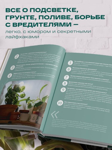 Заклинатель комнатных растений. Секретные лайфхаки от профессионального цветовода