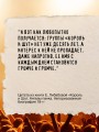 Король и Шут. Ангелы панка. Авторизованная биография
