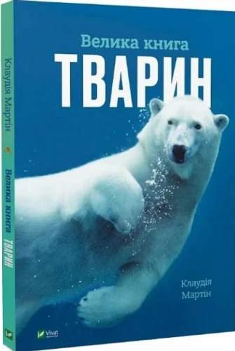 001.webp