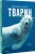 001.webp