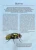 003.webp