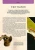 004.webp