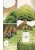 002.webp