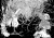003.webp