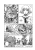 005.webp