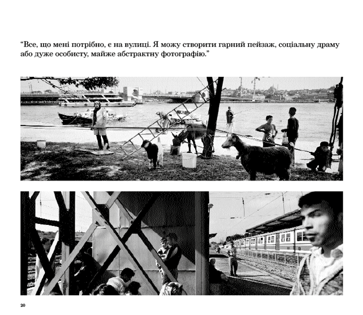 6.webp