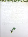 005.webp