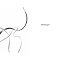 004.webp