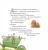 004.webp