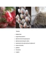 003.webp